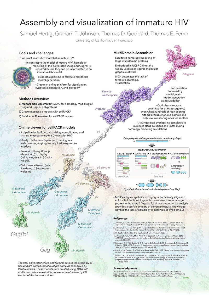 scientific poster on the molecular structure of the immature hiv